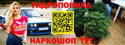 PSILOCYBIN Мариинск