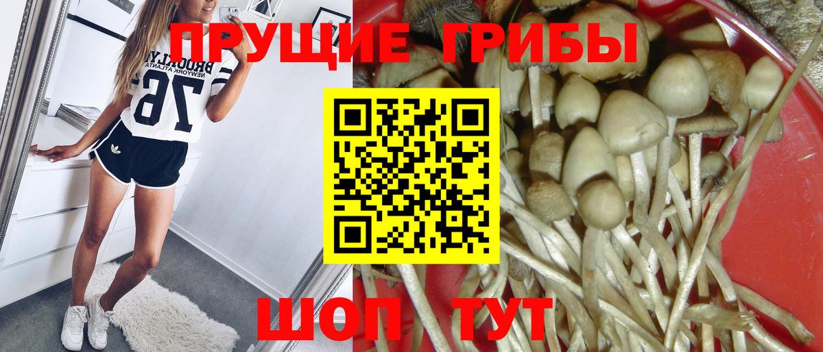 Галлюциногенные грибы Magic Shrooms Озёры