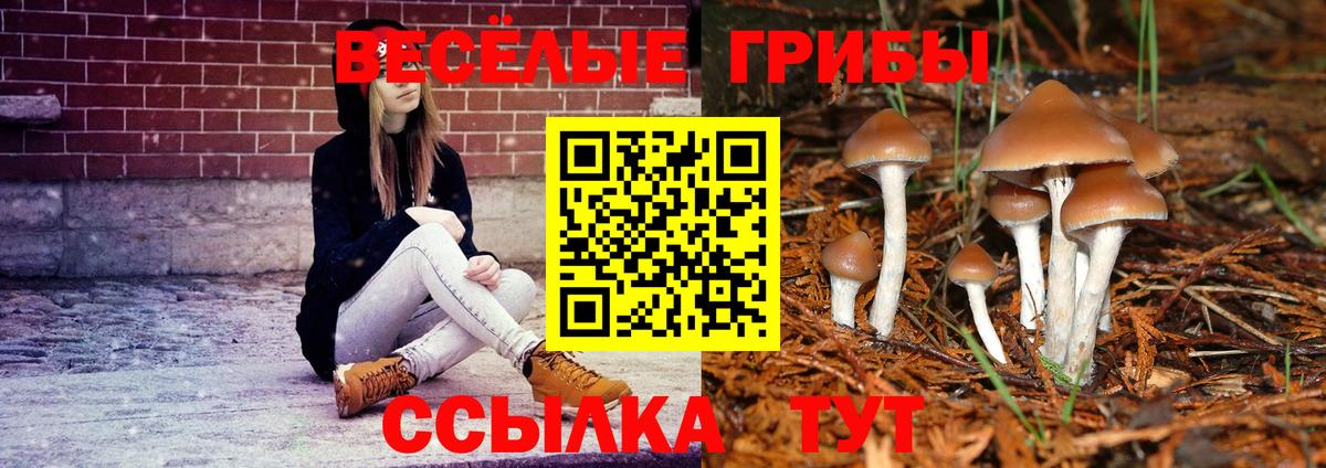 Псилоцибиновые грибы мицелий  Вход с VPN  Озёры  Галлюциногенные грибы прущие грибы 